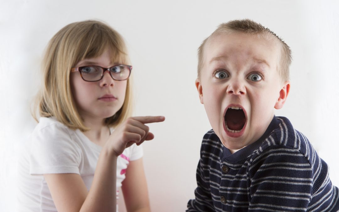 The Sibling Effect: The Most Overlooked Factor in Personality Development